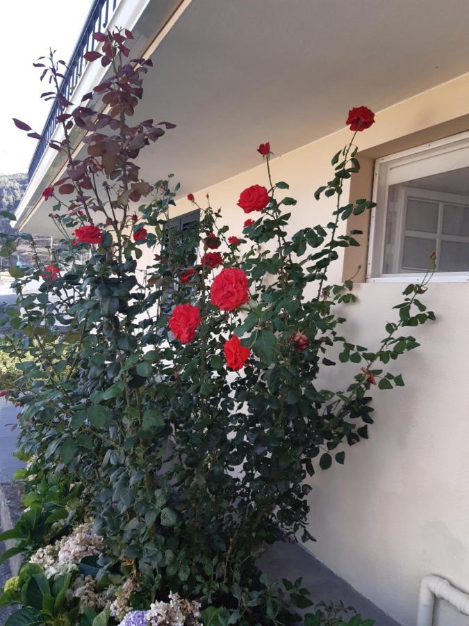 Apartamento Piquinho Machico  Zewnętrze zdjęcie